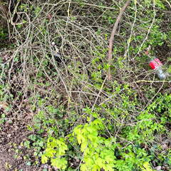 22-04-25 10-50-24 0613